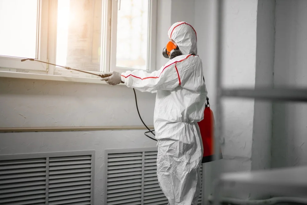 Professional mold remediation services in Gulf Breeze, FL